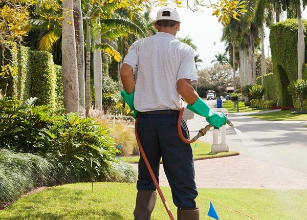 About Bethel CT Pest Control